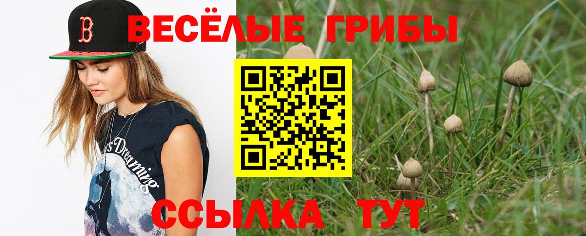 Галлюциногенные грибы Psilocybine cubensis Владивосток