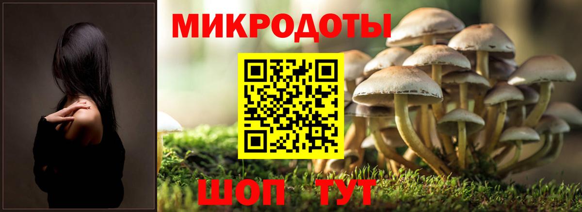 Владивосток  где можно купить наркотик  Вход с VPN  Галлюциногенные грибы Psilocybe 